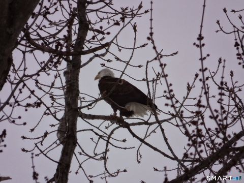 Tiny photo for 241 S Water Street #14, East Windsor, CT 06088 (MLS # 24153106)