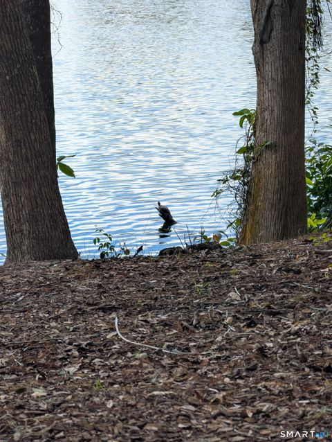 Tiny photo for 241 S Water Street #14, East Windsor, CT 06088 (MLS # 24153106)