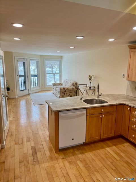Tiny photo for 241 S Water Street #14, East Windsor, CT 06088 (MLS # 24153106)