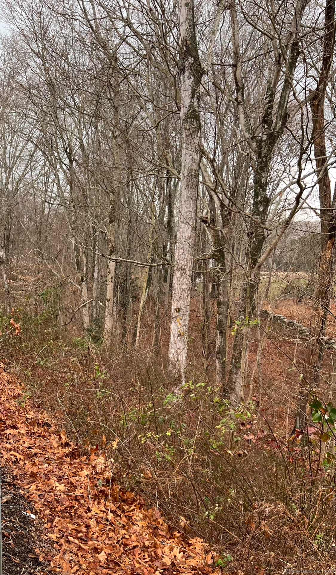 Gold Star Highway, Groton, Connecticut image 6
