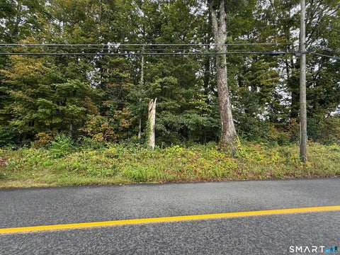 Vacant Land For Sale - 208 South Road<br/> Litchfield County, New Hartford, CT 06057