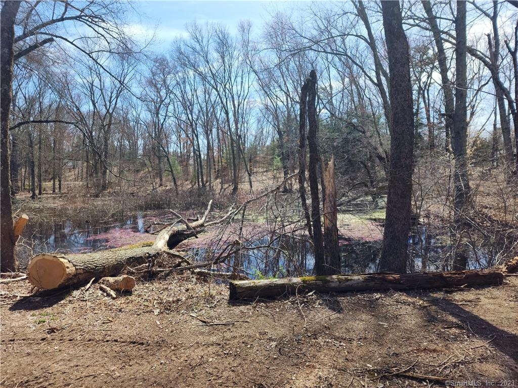 Lovers Lane, Plainfield, Connecticut 34,900, ID 170565671 Brown