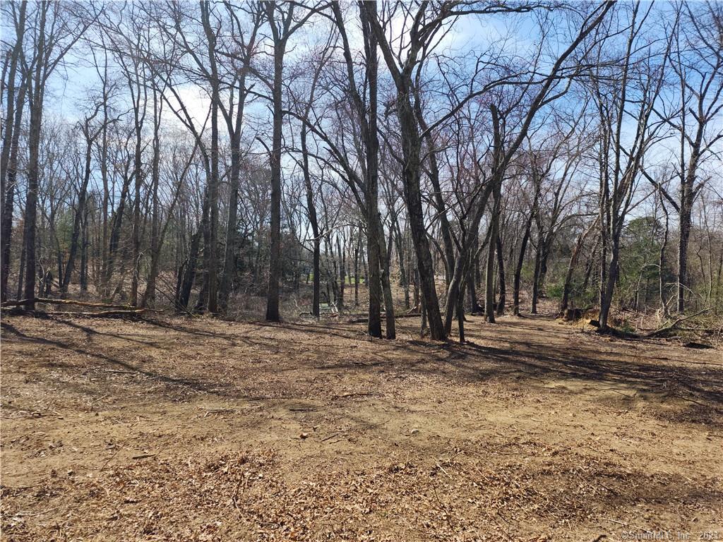 Lovers Lane, Plainfield, Connecticut 34,900, ID 170565671 Brown