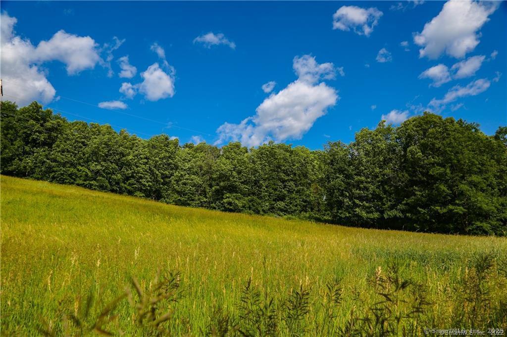 4569 Route 199 Route, Millerton, New York image 20