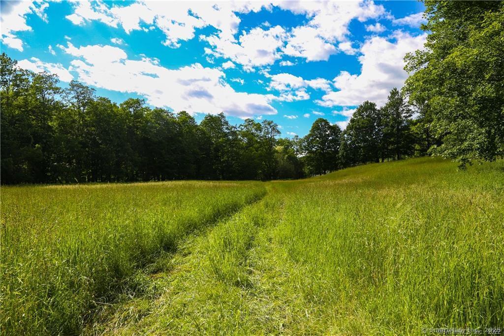 4569 Route 199 Route, Millerton, New York image 19