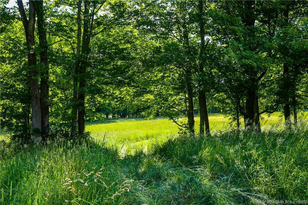 4569 Route 199 Route, Millerton, New York image 18