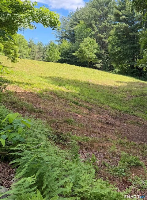 Tiny photo for 133 Painter Hill Road, Woodbury, CT 06798 (MLS # 24187054)