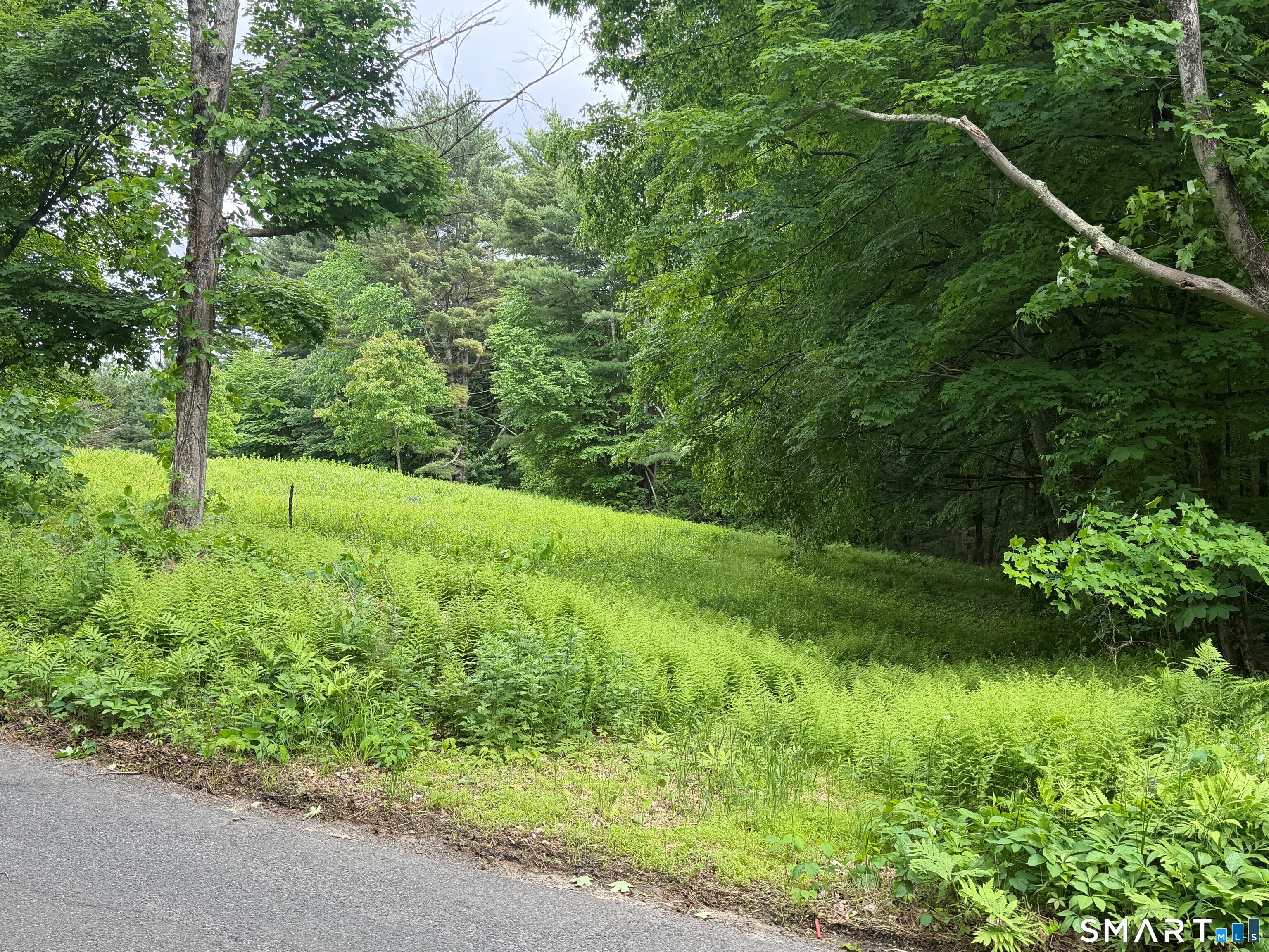 133 Painter Hill Road