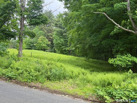 Tiny photo for 133 Painter Hill Road, Woodbury, CT 06798 (MLS # 24187054)