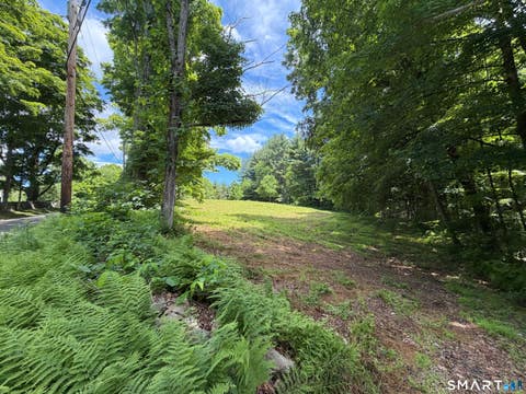Photo of 133 Painter Hill Road, Woodbury, CT 06798 (MLS # 24187054)