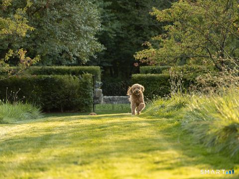 Tiny photo for 372 Brushy Ridge Road, New Canaan, CT 06840 (MLS # 24165499)