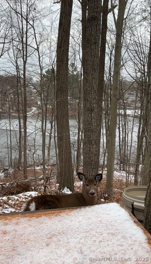 Tiny photo for 112 Ambler Road, Bristol, CT 06010 (MLS # 24143700)