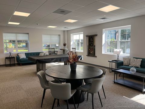 Tiny photo for 333 Main Street #606, Danbury, CT 06810 (MLS # 24145479)