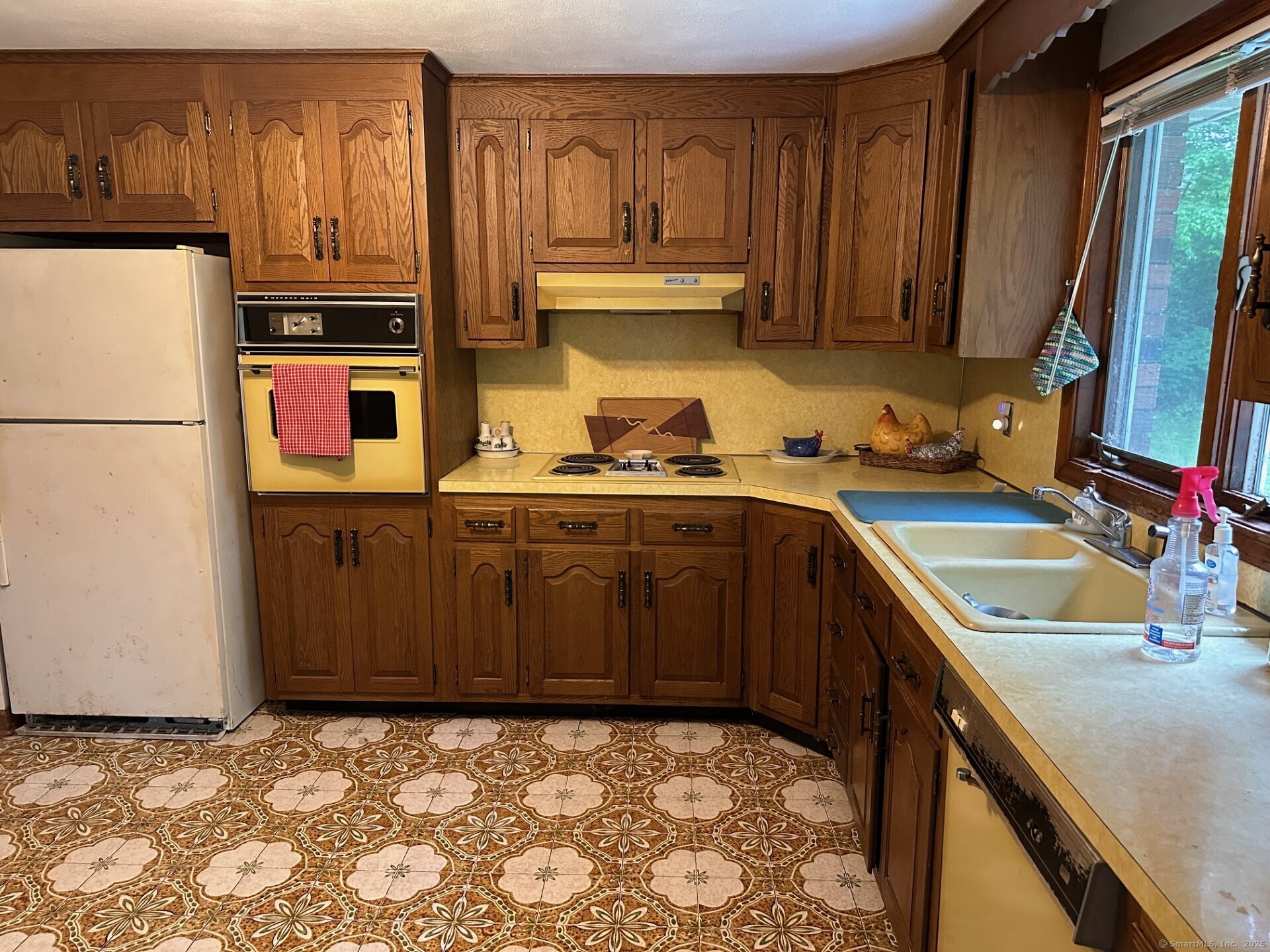 165 Birchwood Drive