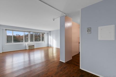 100 York Street 3B New Haven CT 06511