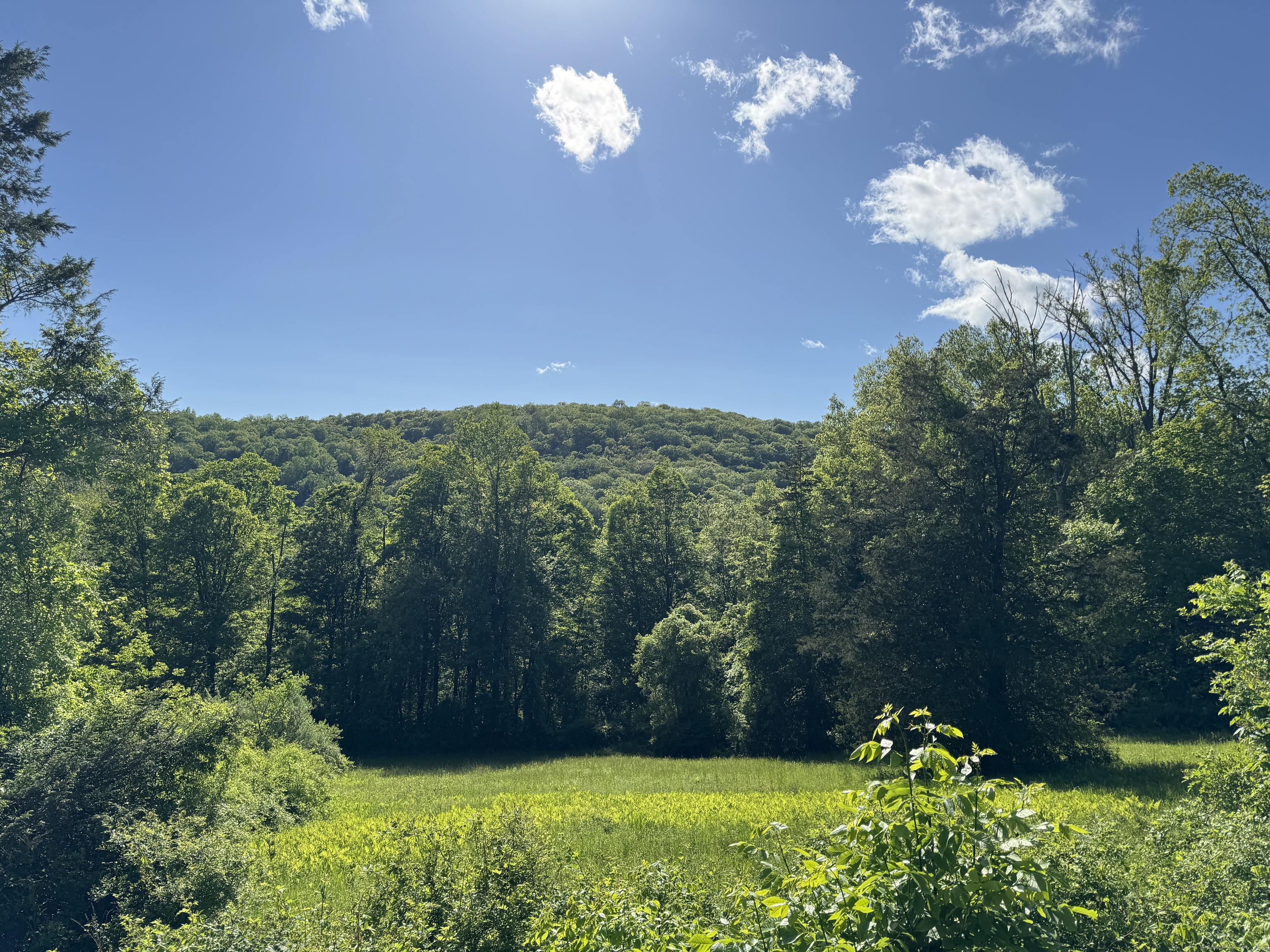 Rte 39 South, State Route