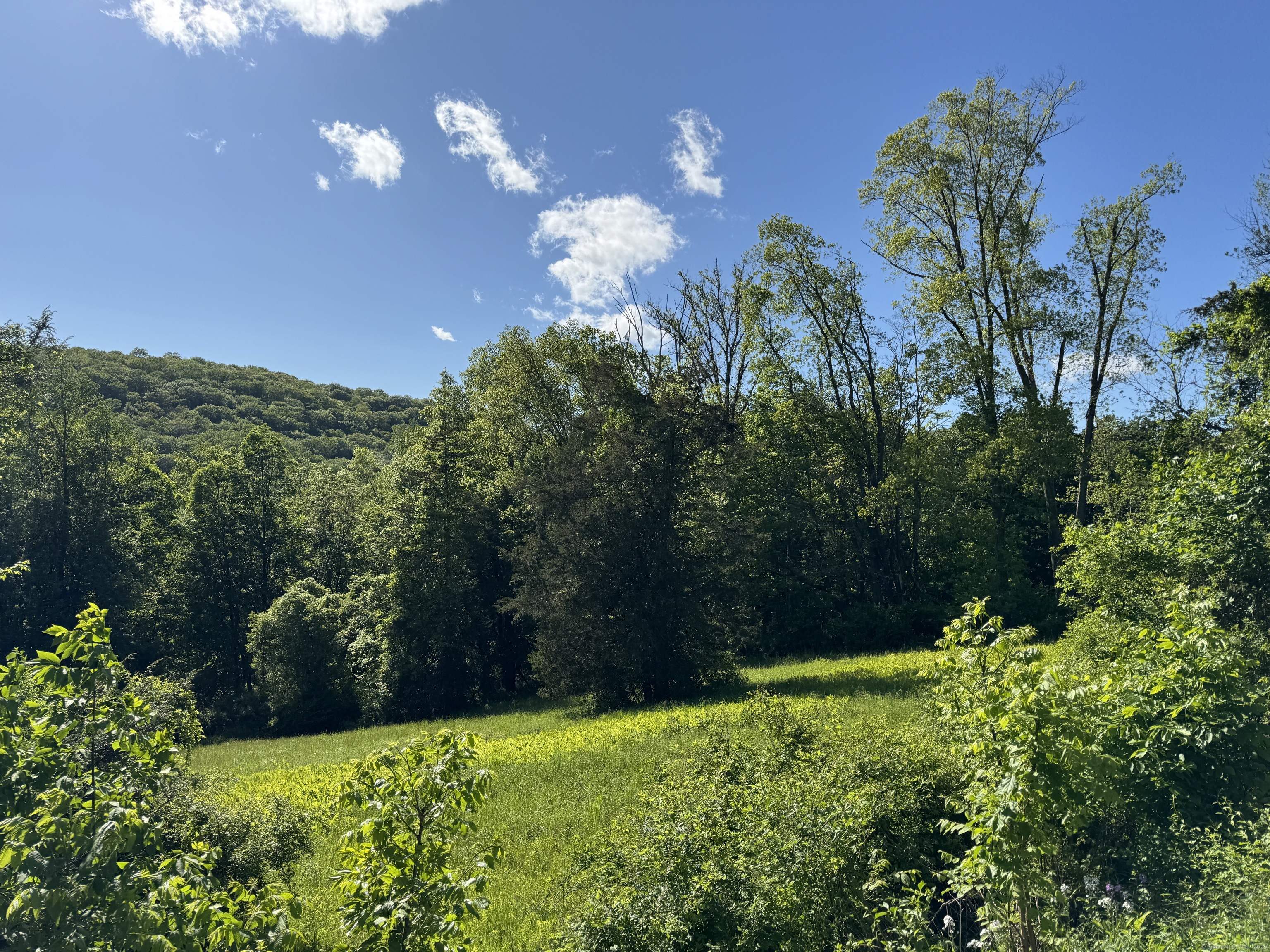 Rte 39 South, State Route