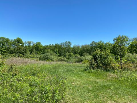 Tiny photo for Christian Street, Oxford, CT 06478 (MLS # 24096996)