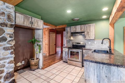 Tiny photo for 10 Lake Road, Woodbury, CT 06798 (MLS # 24135747)