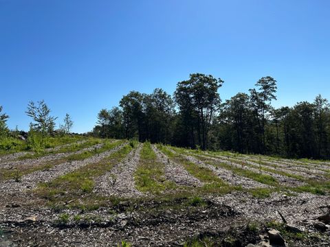 Tiny photo for 00 Prock Hill Road, Colebrook, CT 06021 (MLS # 24161321)