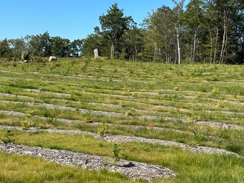 Tiny photo for 00 Prock Hill Road, Colebrook, CT 06021 (MLS # 24161321)