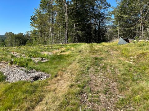 Tiny photo for 00 Prock Hill Road, Colebrook, CT 06021 (MLS # 24161321)
