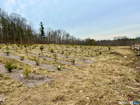 Tiny photo for 00 Prock Hill Road, Colebrook, CT 06021 (MLS # 24161321)