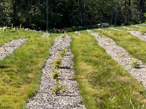 Tiny photo for 00 Prock Hill Road, Colebrook, CT 06021 (MLS # 24161321)