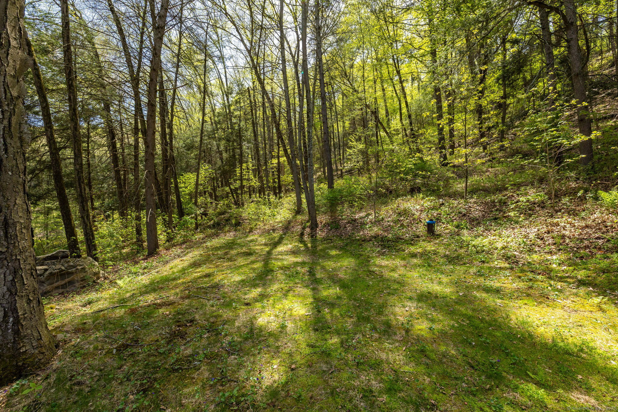 17 Cedar Hill Road, New Milford, Connecticut image 36