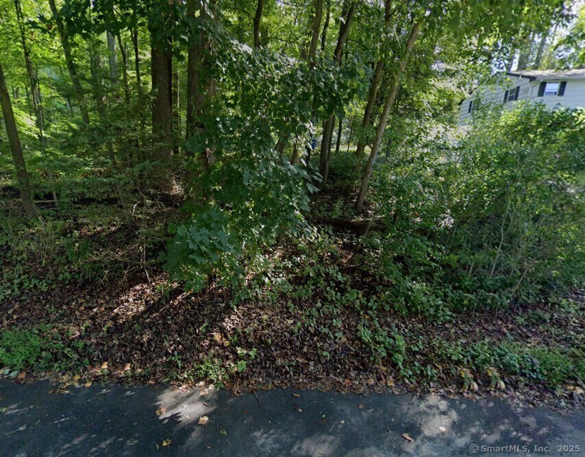47 Mist Hill Drive, New Milford, Connecticut image 1