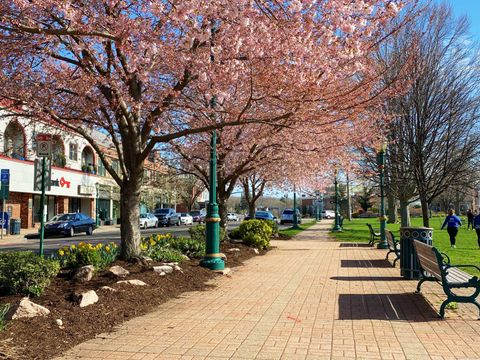 Tiny photo for 75 S Main Street #Apt E, Branford, CT 06405 (MLS # 24157437)