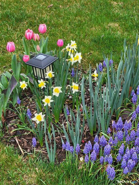 Tiny photo for 1 Jensen Court, Southington, CT 06489 (MLS # 24153544)