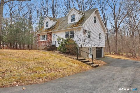 Photo of 47 Park Road, Colchester, CT 06415 (MLS # 24162886)