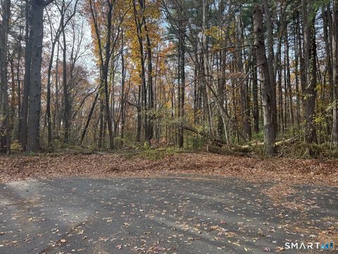 Photo of 0 Walnut and Larch Drive, Windsor, CT 06095 (MLS # 24152589)