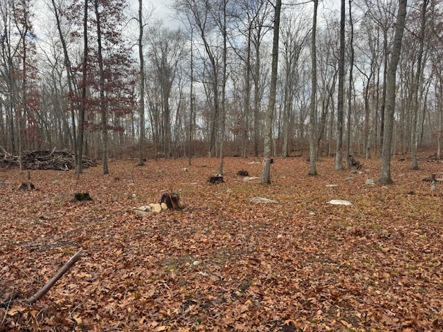 982 Vauxhall St Extension