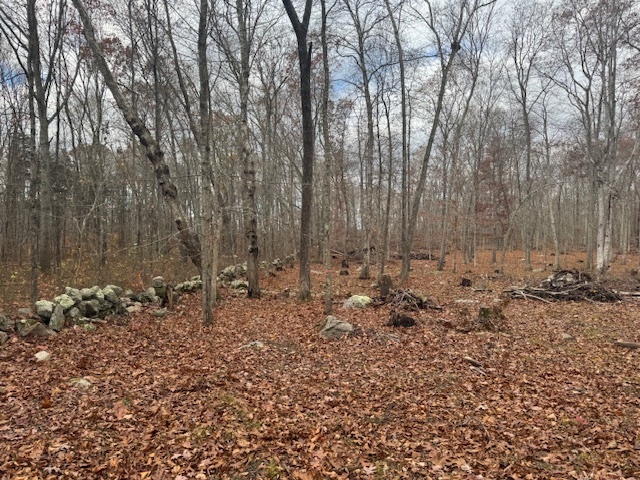 982 Vauxhall St Extension