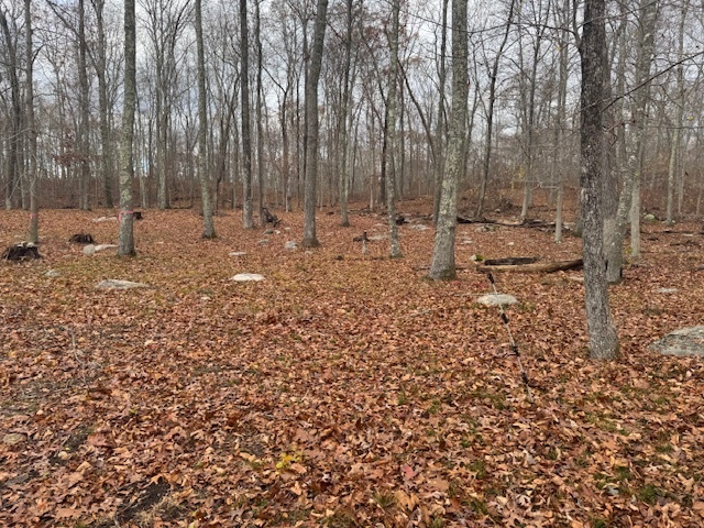 982 Vauxhall St Extension