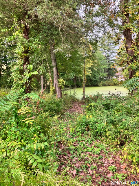 Tiny photo for 162 Cooke Street, Plainville, CT 06062 (MLS # 24211873)