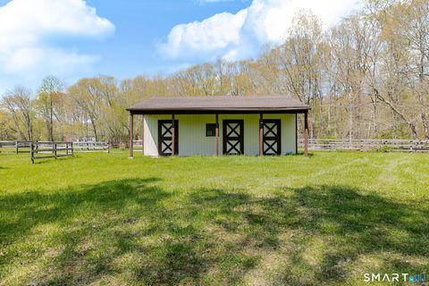 Tiny photo for 123 Mine Hill Road, New Milford, CT 06776 (MLS # 24173107)