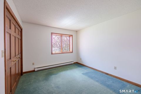 Tiny photo for 123 Mine Hill Road, New Milford, CT 06776 (MLS # 24173107)