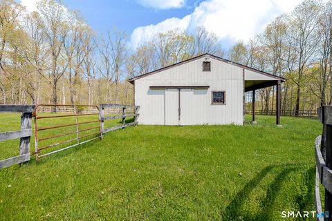Tiny photo for 123 Mine Hill Road, New Milford, CT 06776 (MLS # 24173107)