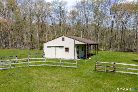 Tiny photo for 123 Mine Hill Road, New Milford, CT 06776 (MLS # 24173107)