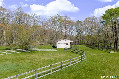 Tiny photo for 123 Mine Hill Road, New Milford, CT 06776 (MLS # 24173107)