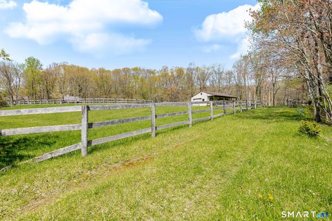 Tiny photo for 123 Mine Hill Road, New Milford, CT 06776 (MLS # 24173107)