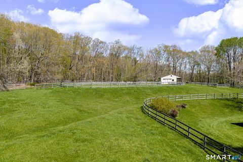 Tiny photo for 123 Mine Hill Road, New Milford, CT 06776 (MLS # 24173107)