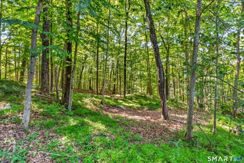 Tiny photo for 131 Peaceable Street, Redding, CT 06896 (MLS # 24207344)