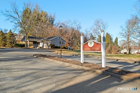 Tiny photo for 3 Idlewood #3, Bethel, CT 06801 (MLS # 24144949)