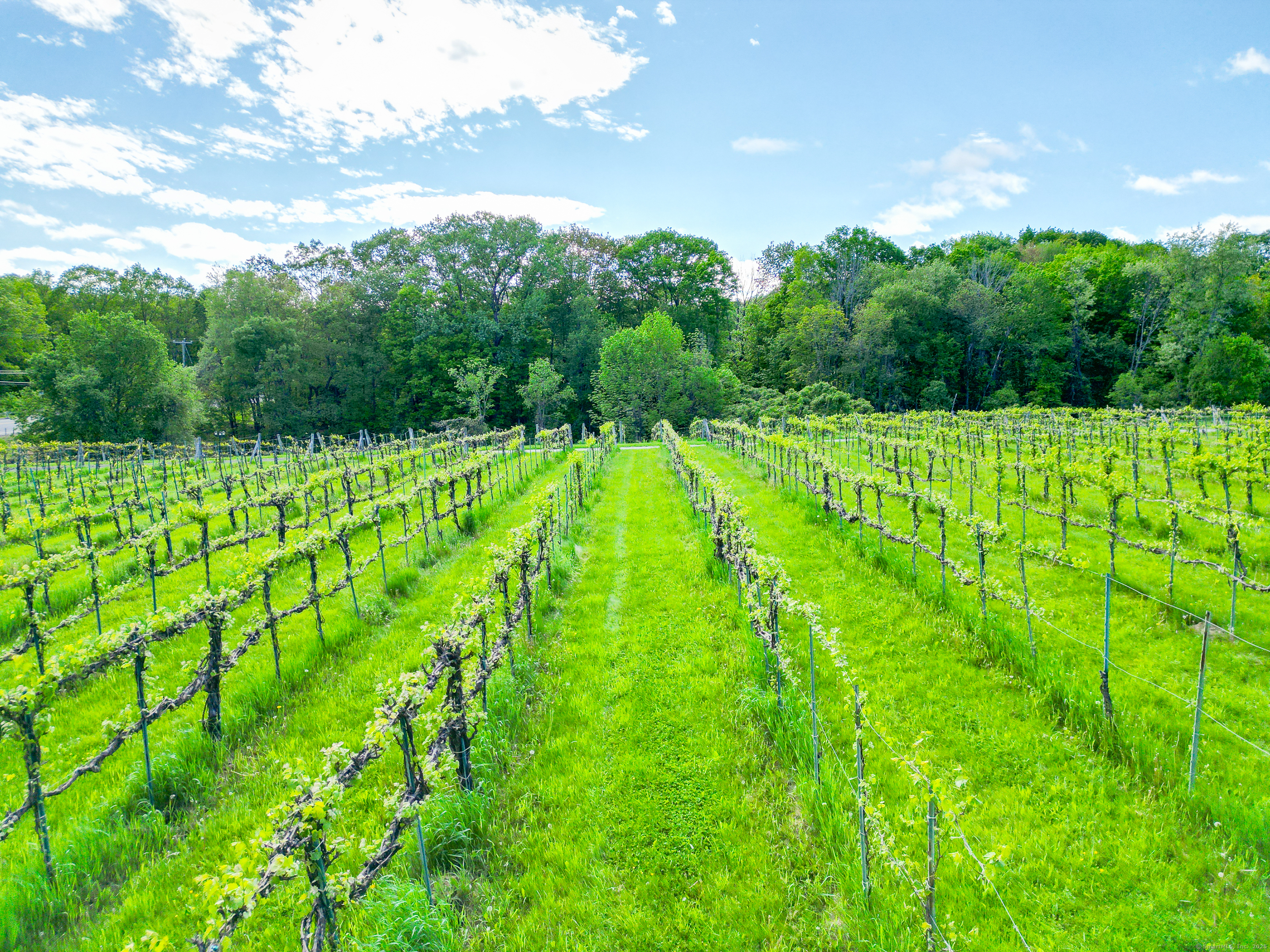 1480 Litchfield Turnpike, New Hartford, Connecticut image 12