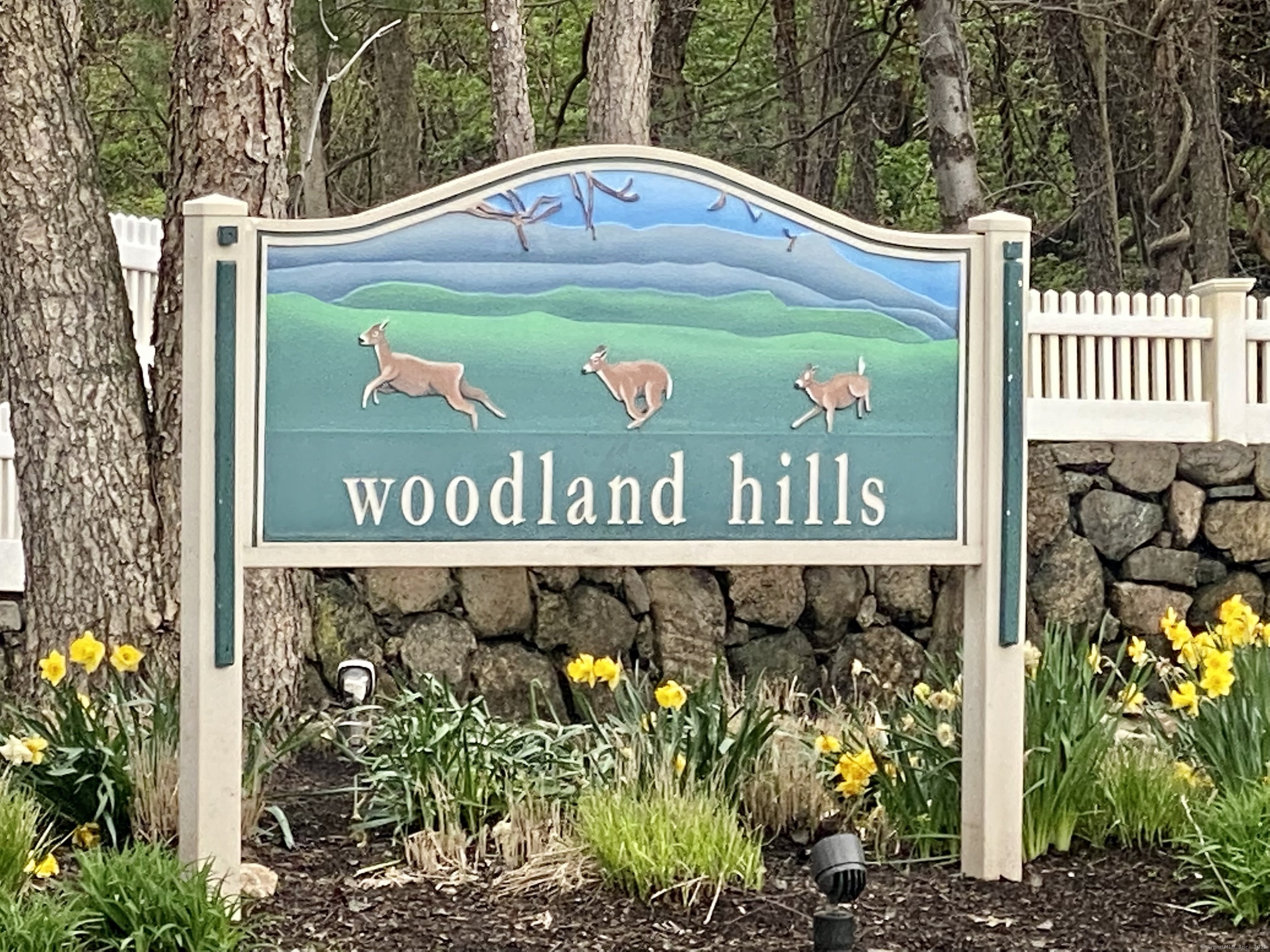 44 Woodcrest Lane #44, Danbury, Connecticut image 29