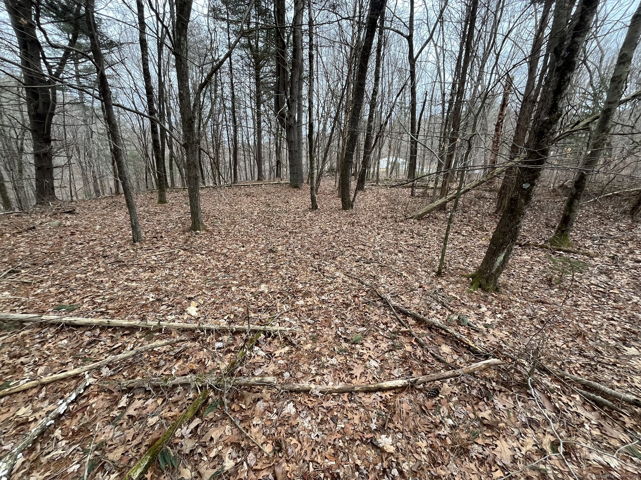 439 Washington Road, Woodbury, Connecticut image 32